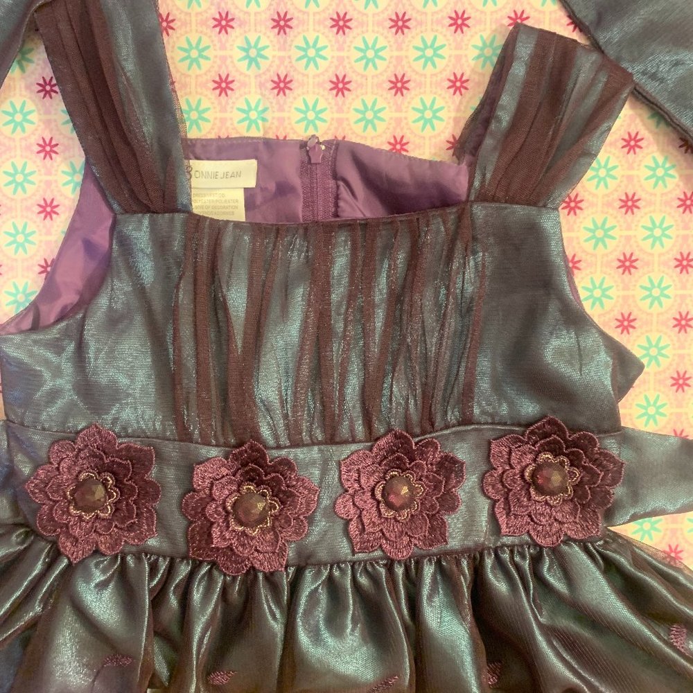 Nwt Bonnie Jean Ombre Formal Dress size 8